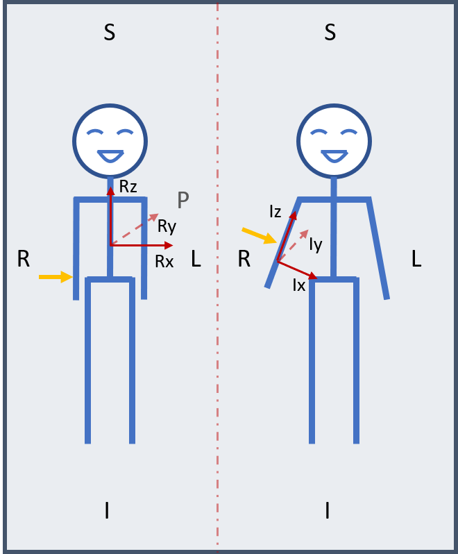 图3：两种受试者姿态示意图